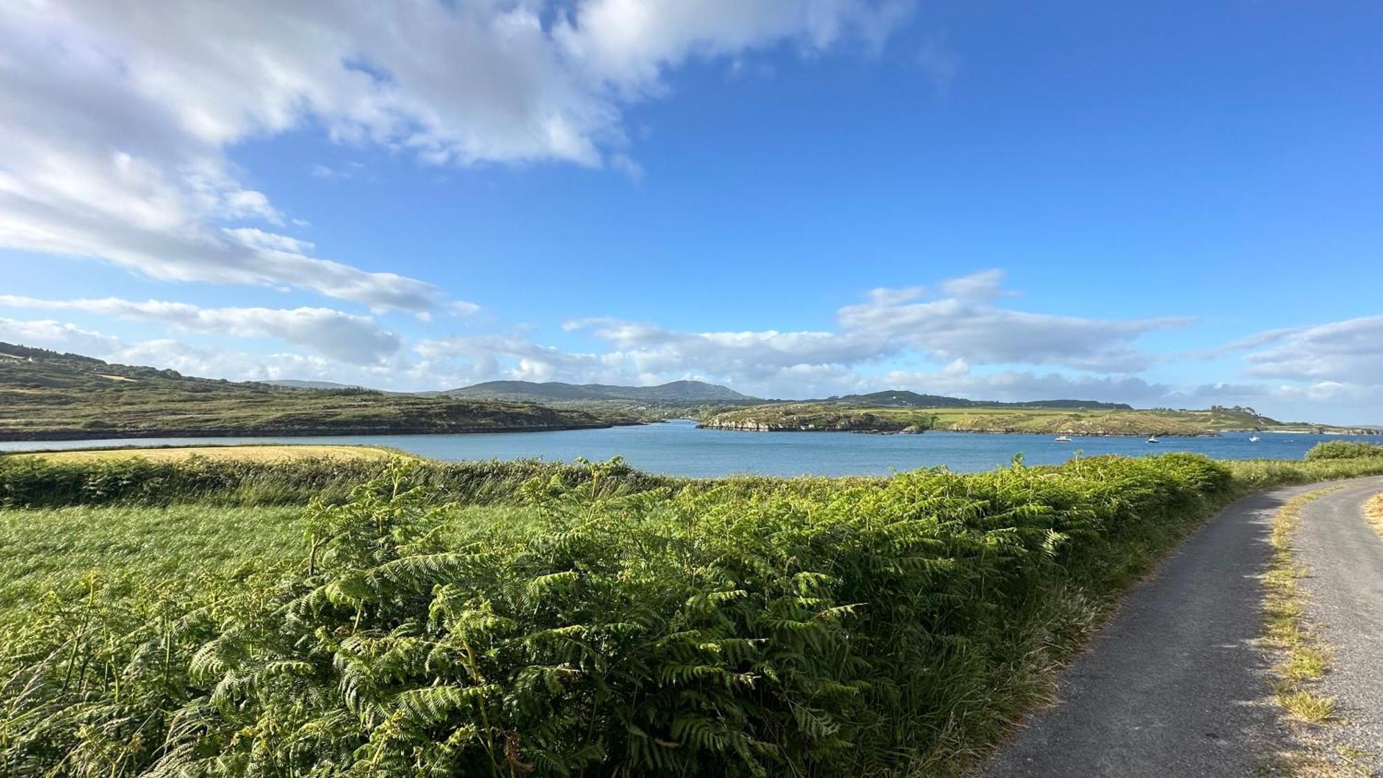 Seafront House With Own Private Pier In Gunpoint, Schull, West Cork Villa Seafort ภายนอก รูปภาพ