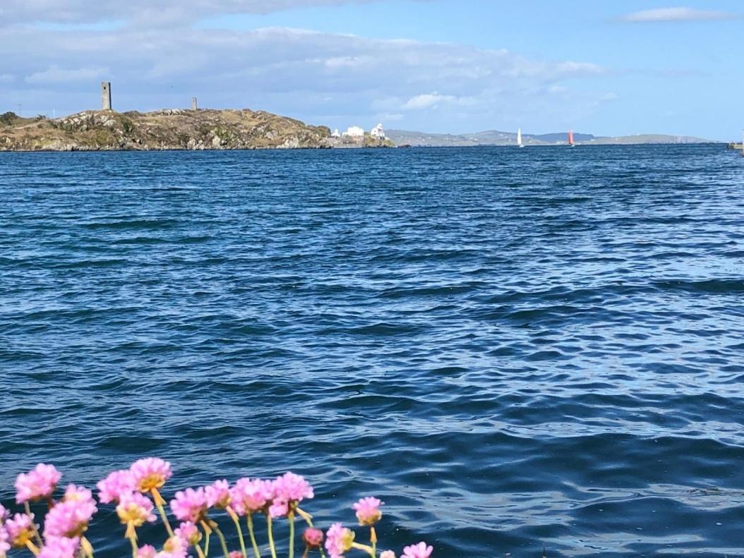 Seafront House With Own Private Pier In Gunpoint, Schull, West Cork Villa Seafort ภายนอก รูปภาพ